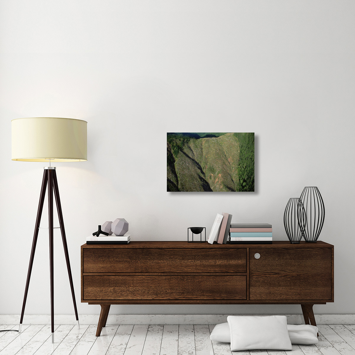 Clear cutting, Olympic National Park, Washington-Canvas Art-30&quotx20"