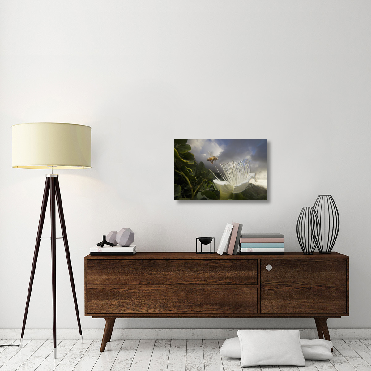 Honey Bee approaching rare Maiapilo flower, Kauai, Hawaii-Canvas Art-30&quotx20"