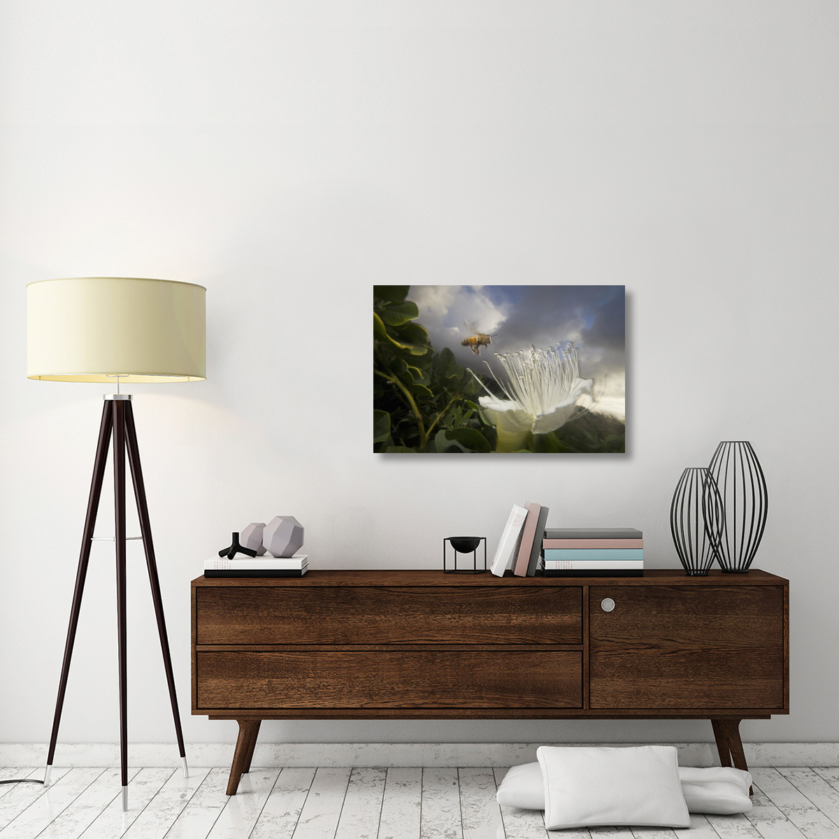 Honey Bee approaching rare Maiapilo flower, Kauai, Hawaii-Canvas Art-36&quotx24"