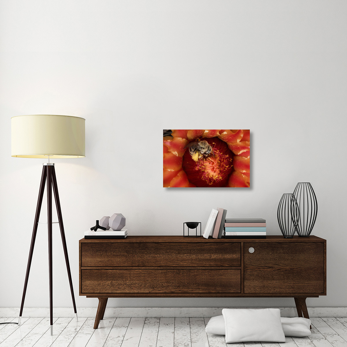 Cactus Bee feeding on barrel cactus nectar, Tucson, Arizona-Canvas Art-30&quotx20"