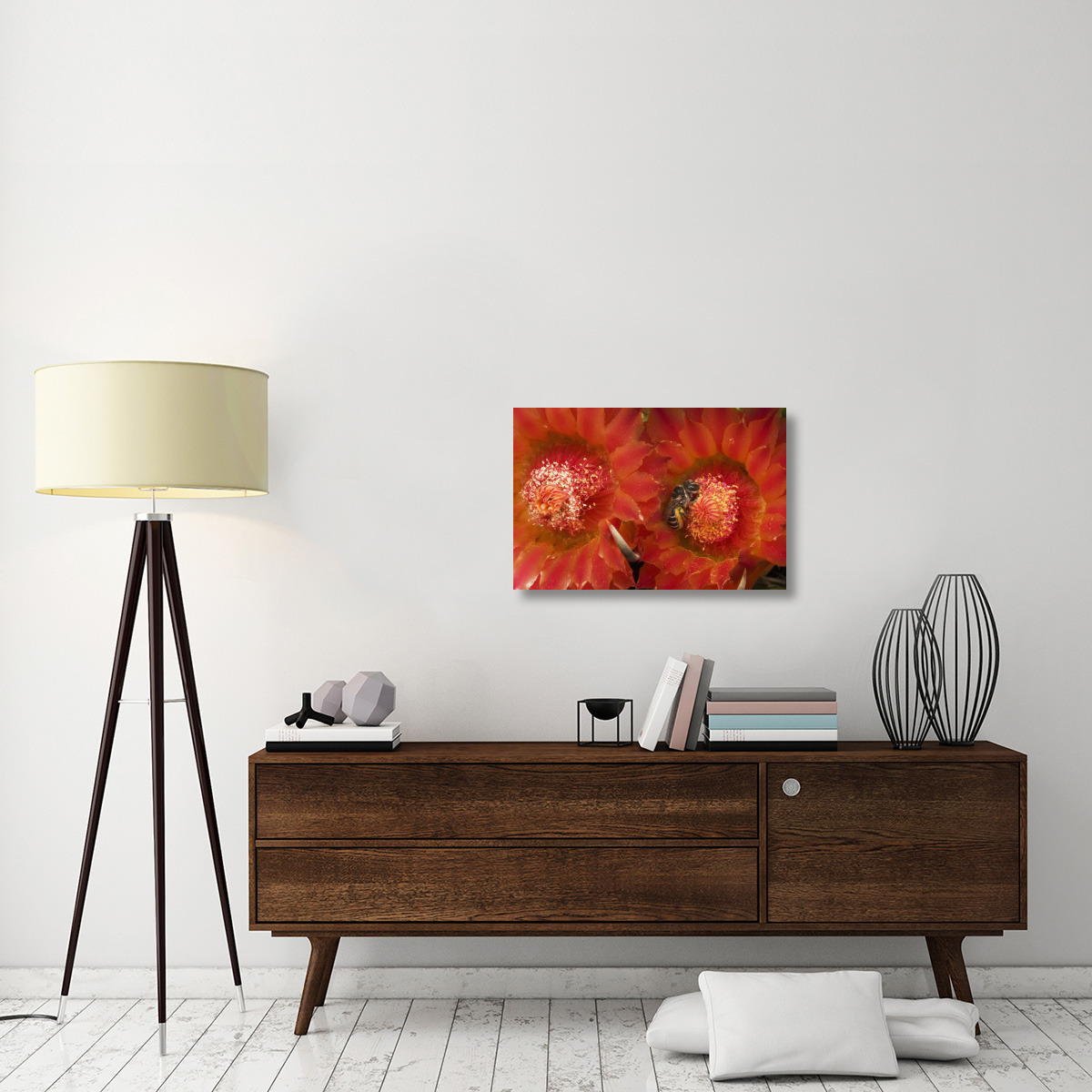 Cactus Bee feeding on barrel cactus nectar, Tucson, Arizona-Canvas Art-30&quotx20"