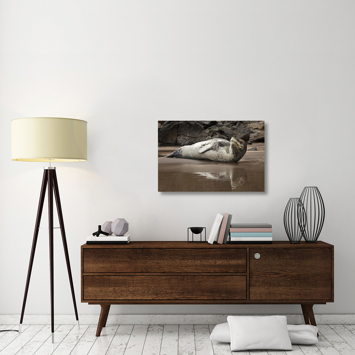 Leopard Seal on Otanerito Beach, New Zealand-Canvas Art-36&quotx24"