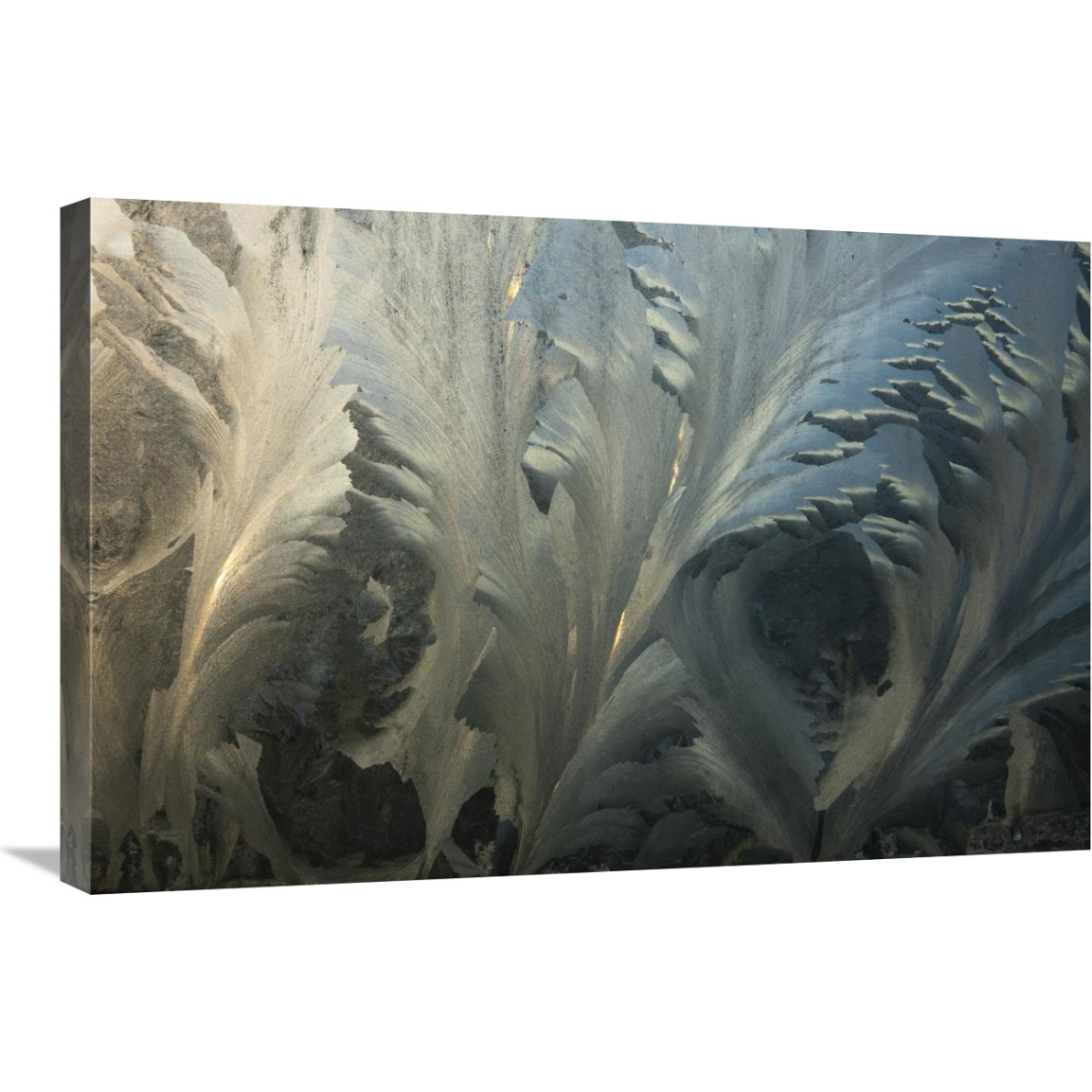 Frost crystal patterns on glass, Ross Sea, Antarctica-Canvas Art-30&quotx20"