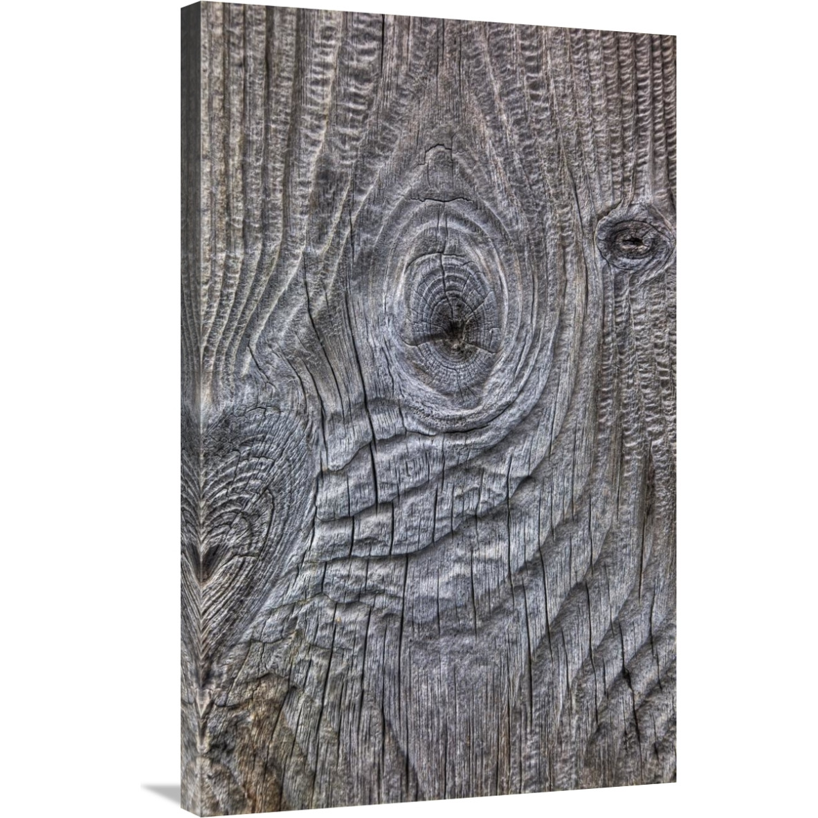 Wind eroded wood, Deception Island, South Shetland Islands, Antarctica-Canvas Art-22.68&quotx36"