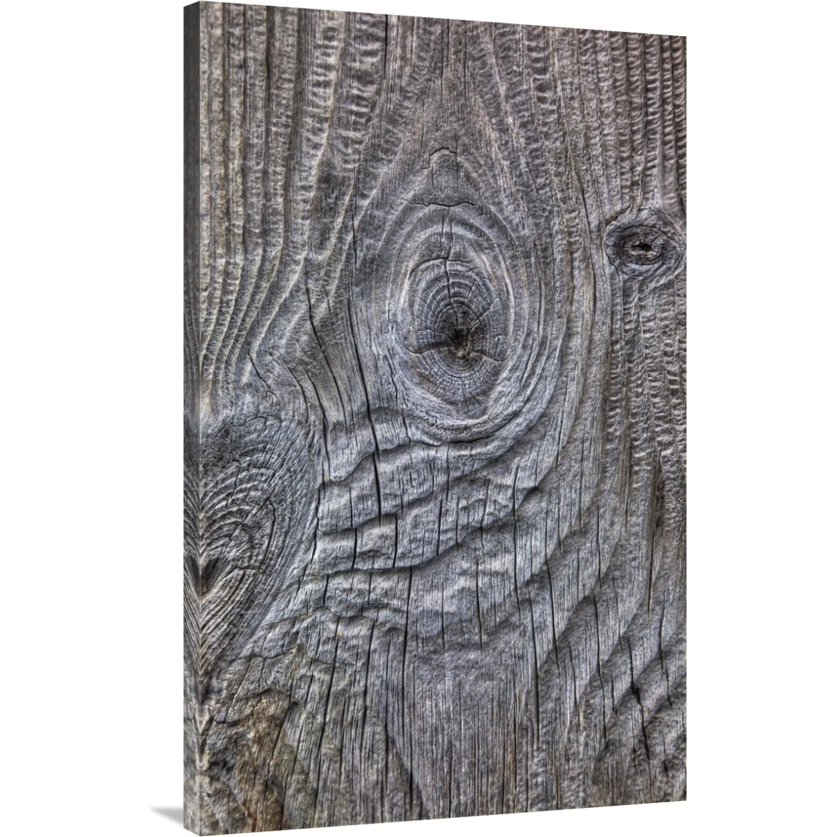 Wind eroded wood, Deception Island, South Shetland Islands, Antarctica-Canvas Art-27.72&quotx44"