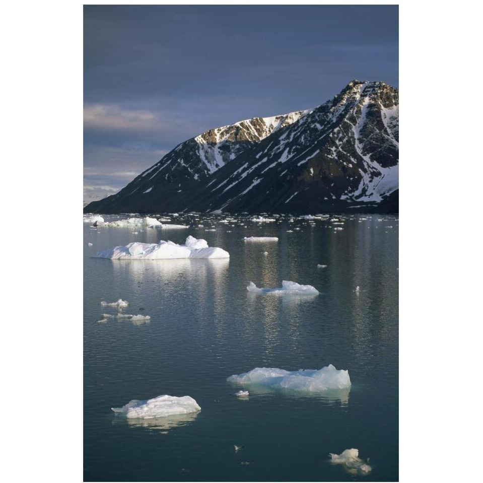 Ice floes in evening light, Spitsbergen Island, Svalbard, Norway-Paper Art-14&quotx20"