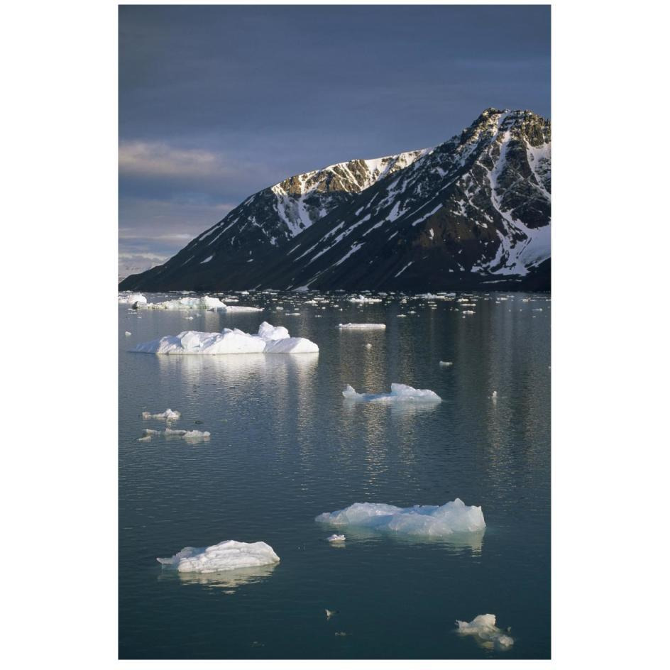 Ice floes in evening light, Spitsbergen Island, Svalbard, Norway-Paper Art-18&quotx26"