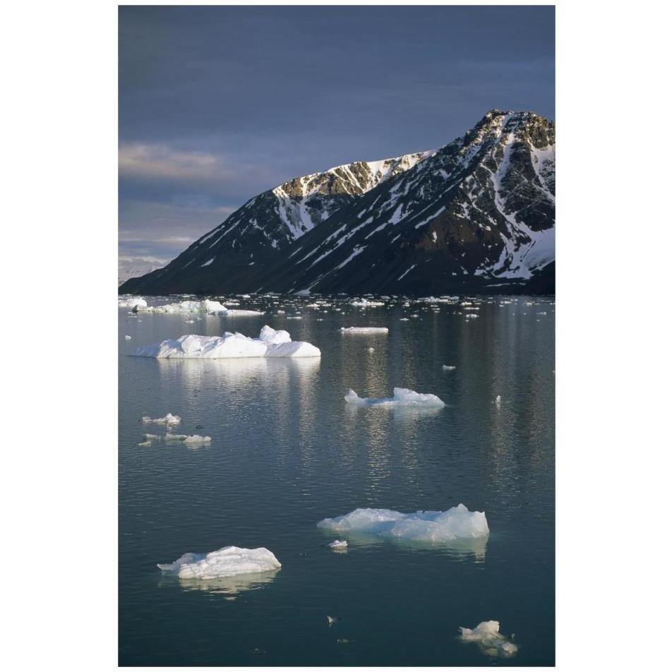 Ice floes in evening light, Spitsbergen Island, Svalbard, Norway-Paper Art-22&quotx32"
