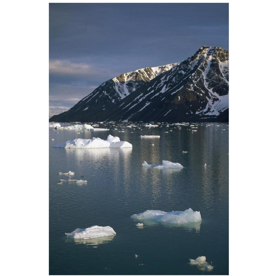 Ice floes in evening light, Spitsbergen Island, Svalbard, Norway-Paper Art-26&quotx38"