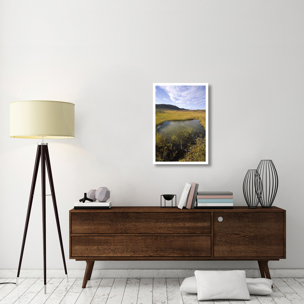 Tundra bog in autumn, Saglek coast, Labrador Bay, Newfoundland, Canada-Paper Art-22&quotx32"
