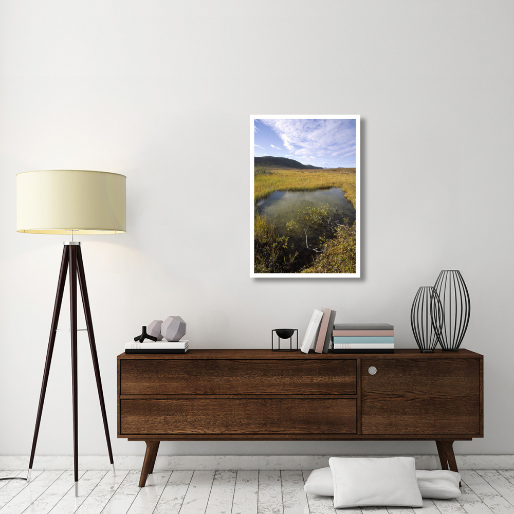 Tundra bog in autumn, Saglek coast, Labrador Bay, Newfoundland, Canada-Paper Art-26&quotx38"