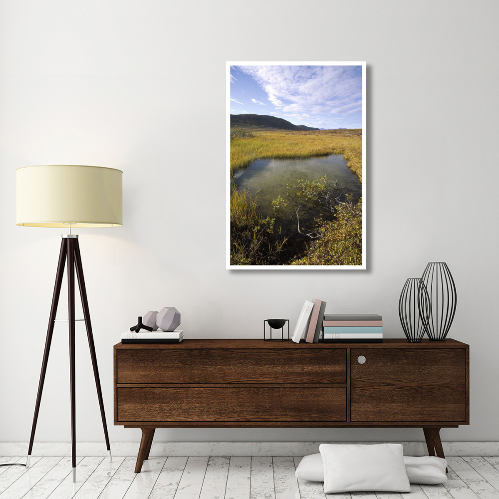 Tundra bog in autumn, Saglek coast, Labrador Bay, Newfoundland, Canada-Paper Art-34&quotx50"