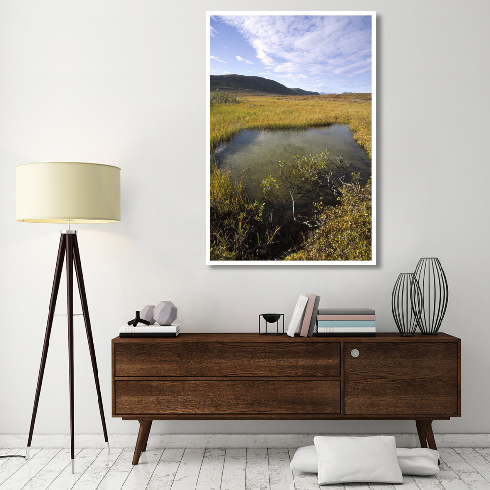 Tundra bog in autumn, Saglek coast, Labrador Bay, Newfoundland, Canada-Paper Art-42&quotx62"