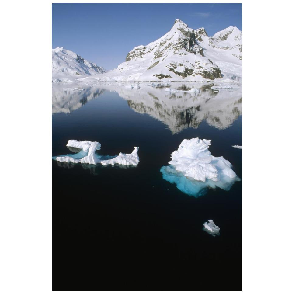 Ice floe and mountains, Paradise Bay, Antarctic Peninsula, Antarctica-Paper Art-14&quotx20"