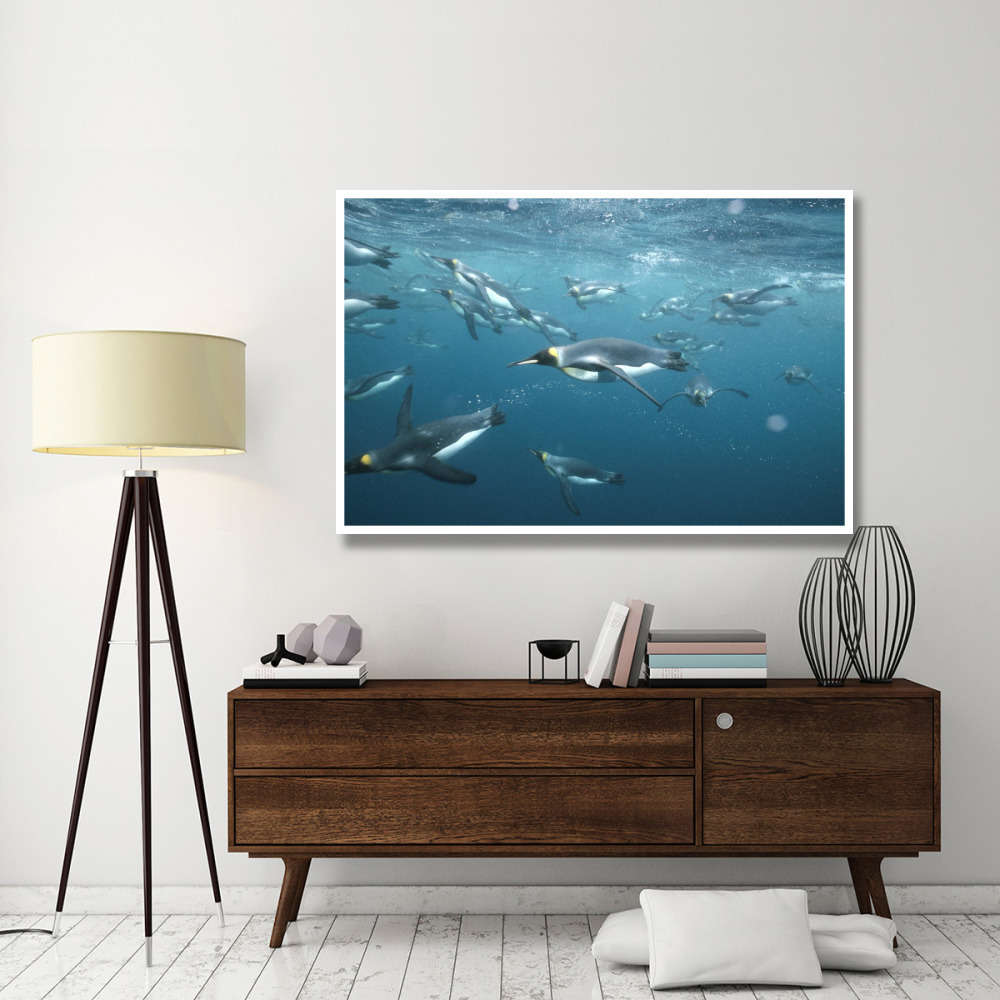 King Penguins underwater, Macquarie Island-Paper Art-62&quotx42"