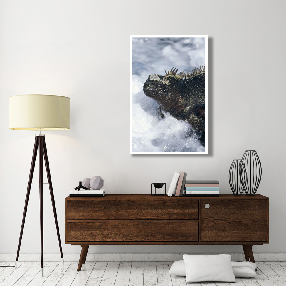 Marine Iguana in surf, Punta Espinosa, Galapagos Islands, Ecuador-Paper Art-34&quotx50"
