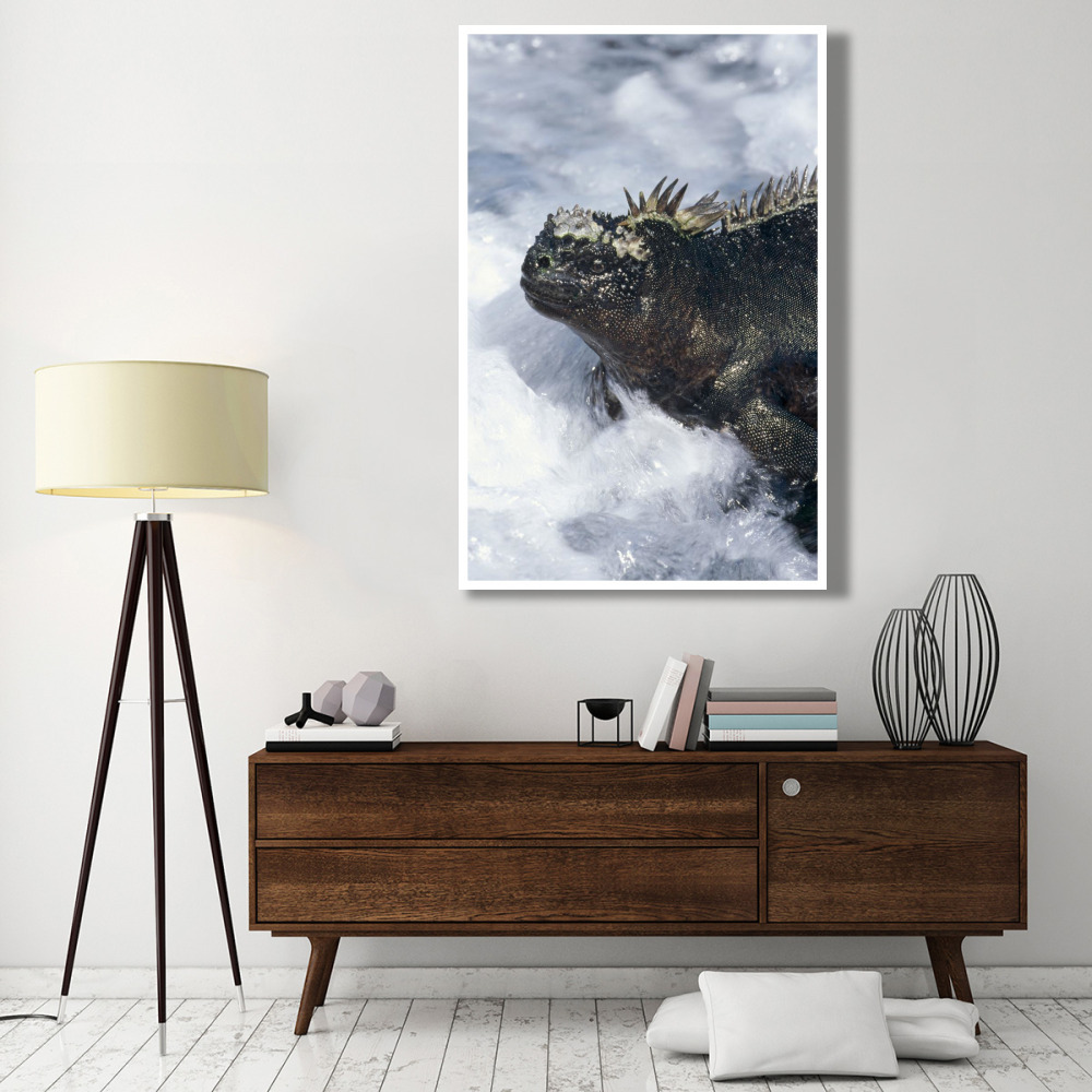 Marine Iguana in surf, Punta Espinosa, Galapagos Islands, Ecuador-Paper Art-42&quotx62"