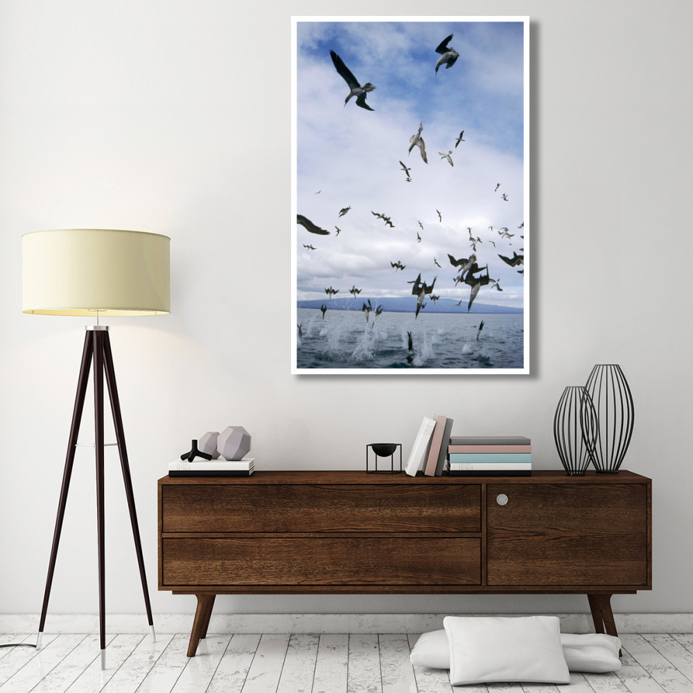 Blue-footed Booby diving for herring, Elizabeth Bay, Galapagos Islands-Paper Art-42&quotx62"