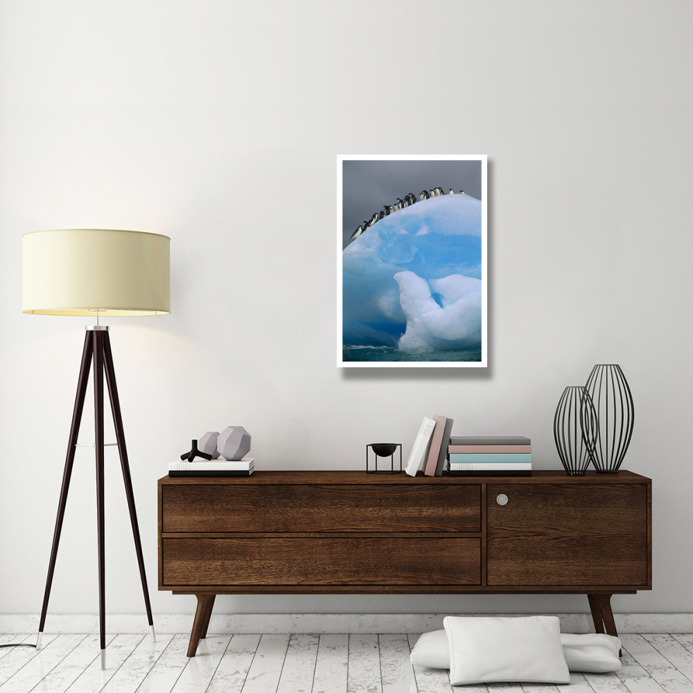 Adelie Penguin group resting on blue, Antarctica-Paper Art-26&quotx38"