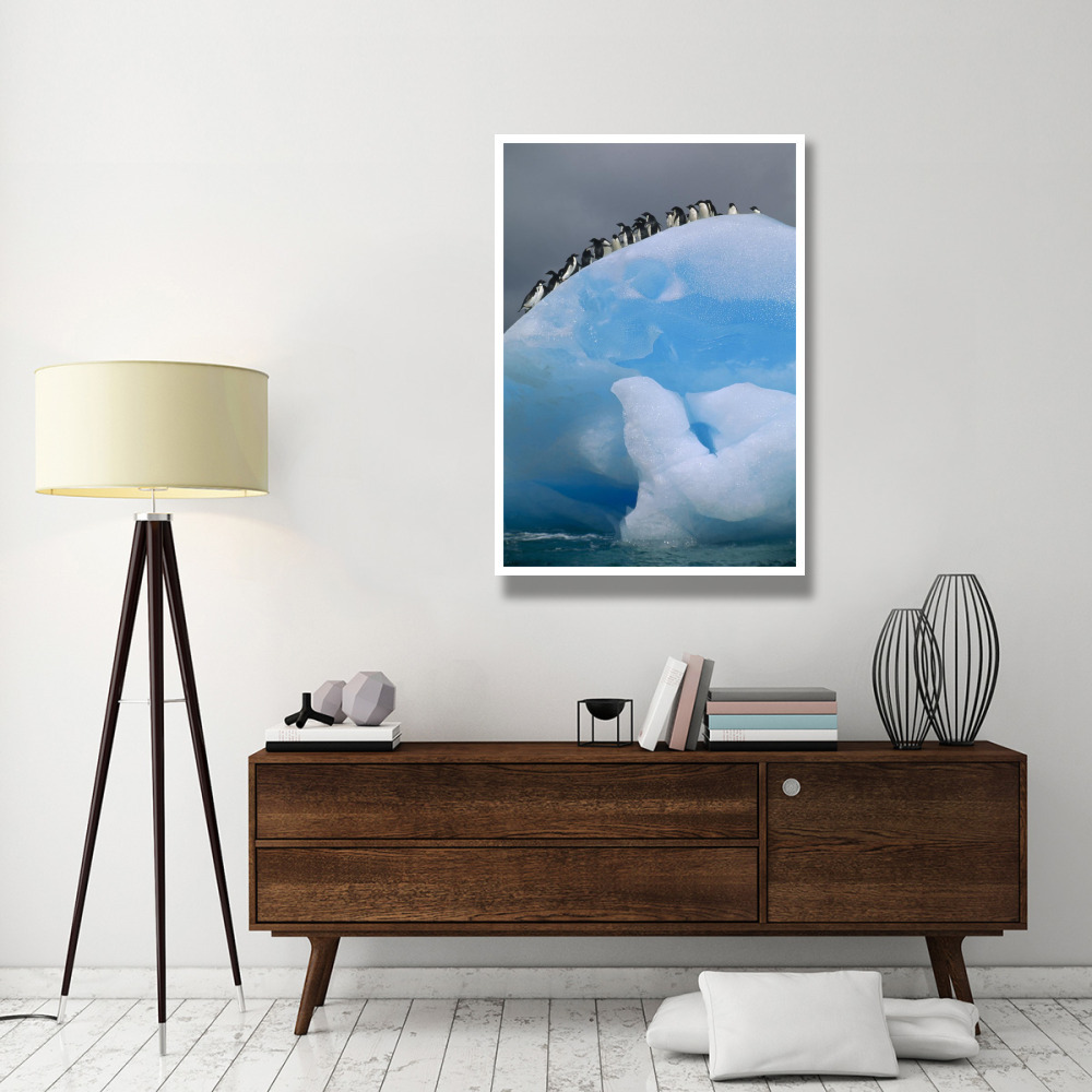 Adelie Penguin group resting on blue, Antarctica-Paper Art-34&quotx50"
