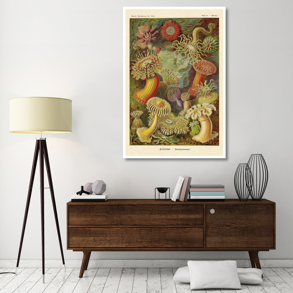 Haeckel Nature Illustrations Actiniae-Paper Art-42&quotx62"