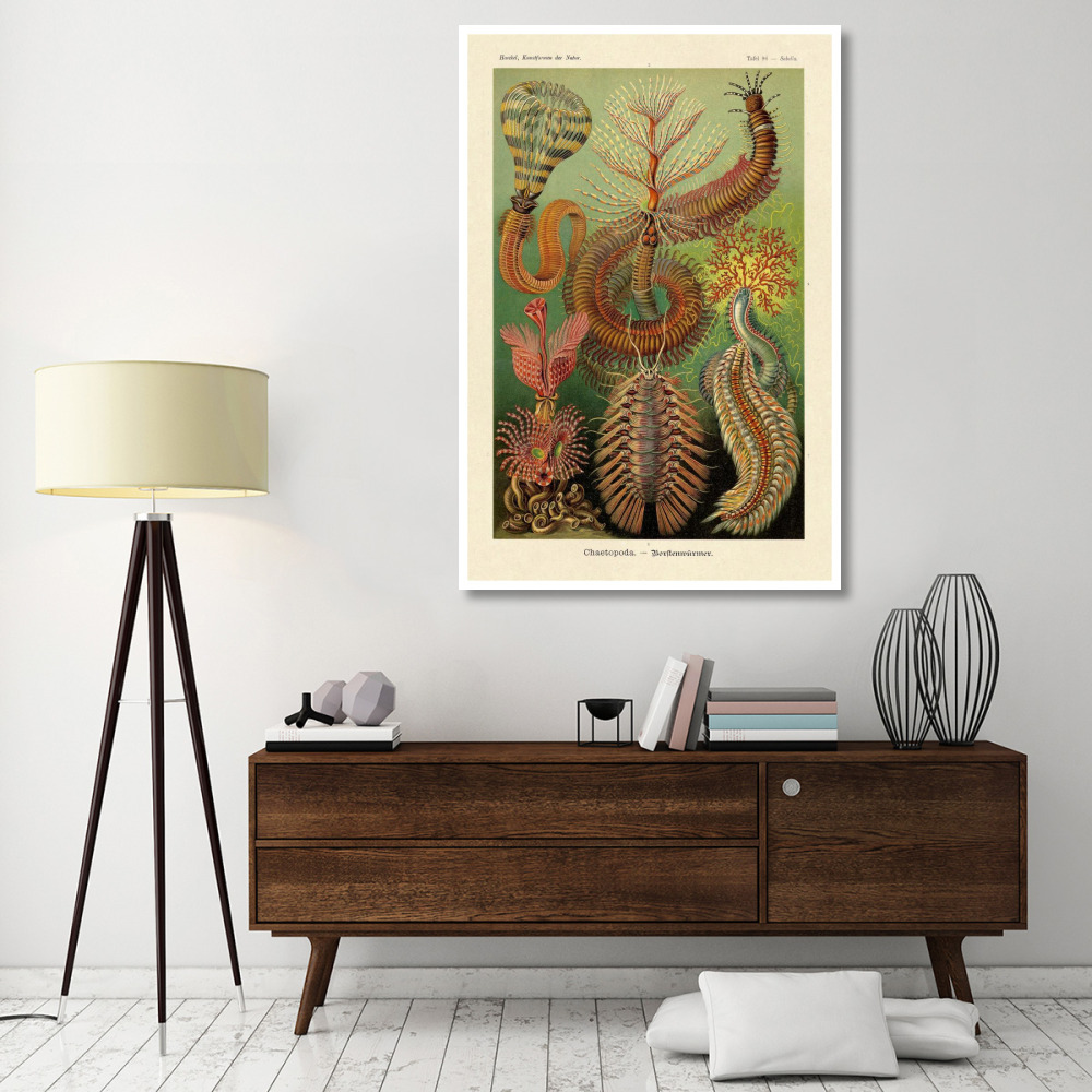 Haeckel Nature Illustrations Worms-Paper Art-42&quotx62"