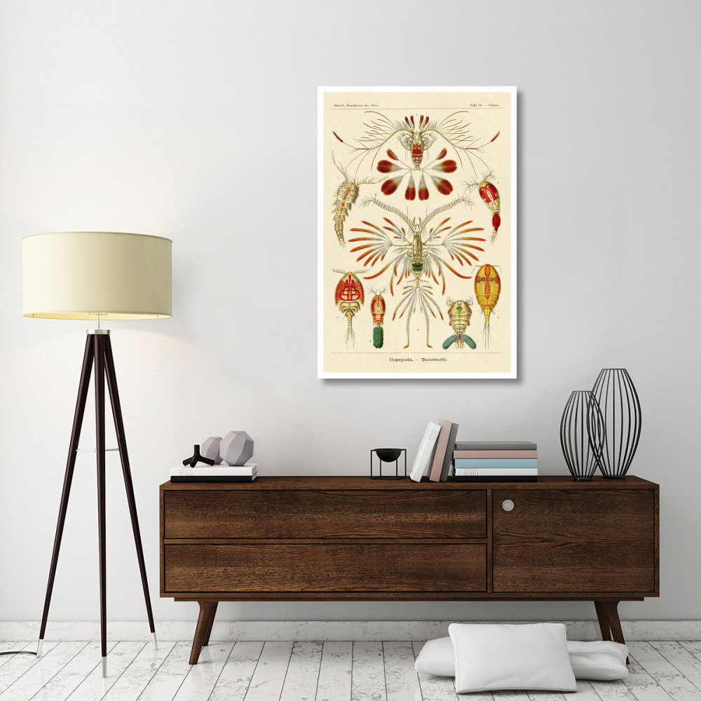 Haeckel Nature Illustrations Crustaceans-Paper Art-34&quotx50"