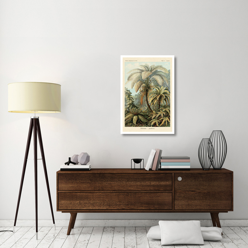 Haeckel Nature Illustrations Ferns-Paper Art-26&quotx38"