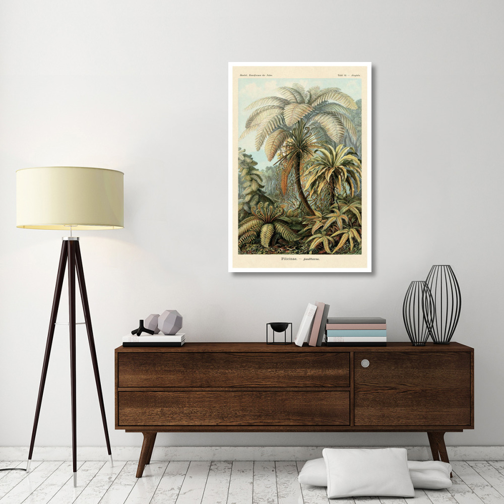Haeckel Nature Illustrations Ferns-Paper Art-34&quotx50"