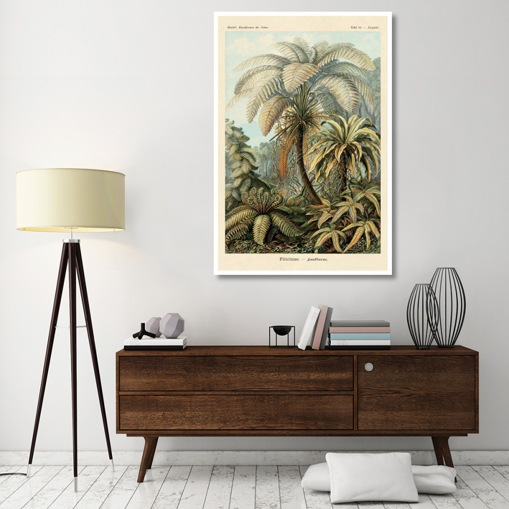 Haeckel Nature Illustrations Ferns-Paper Art-42&quotx62"