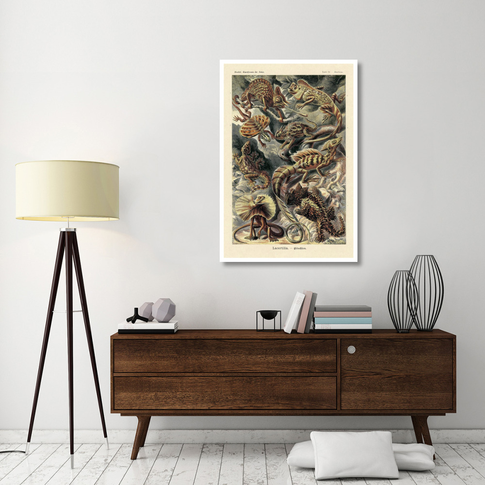 Haeckel Nature Illustrations Lizards-Paper Art-34&quotx50"