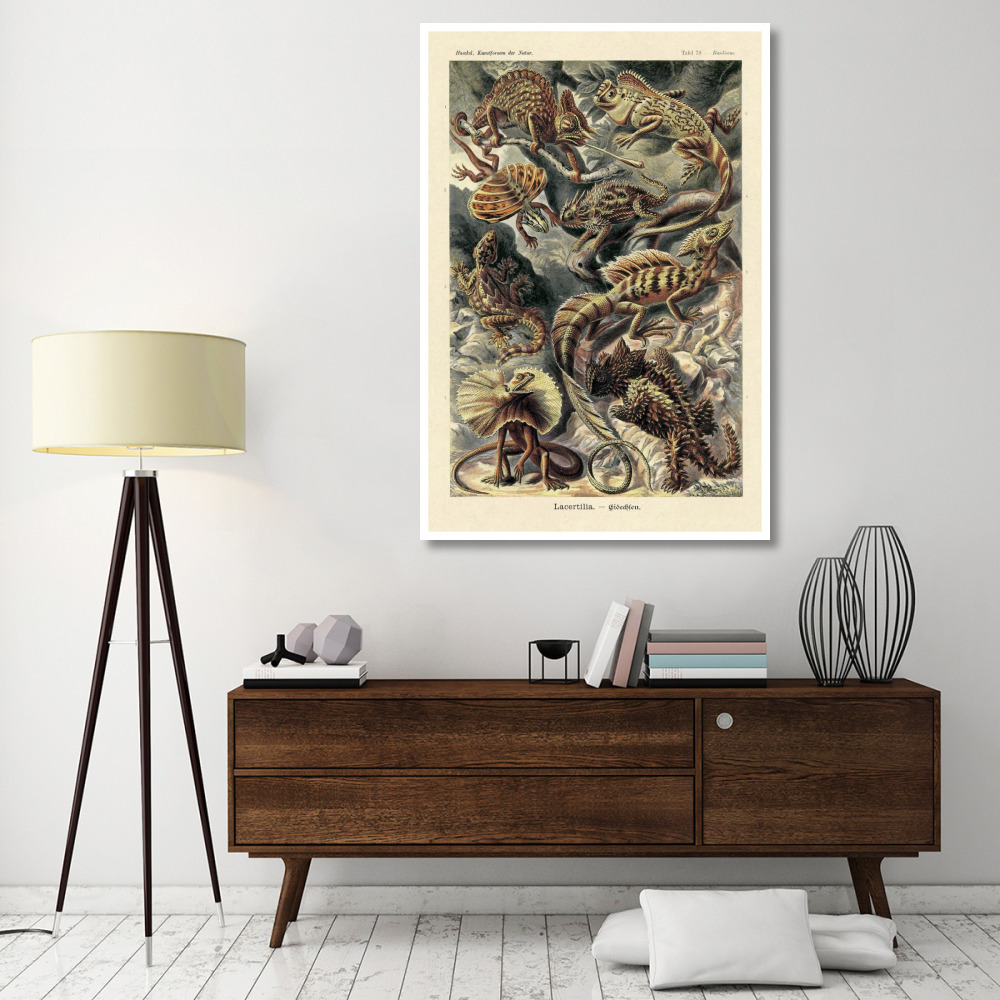 Haeckel Nature Illustrations Lizards-Paper Art-42&quotx62"