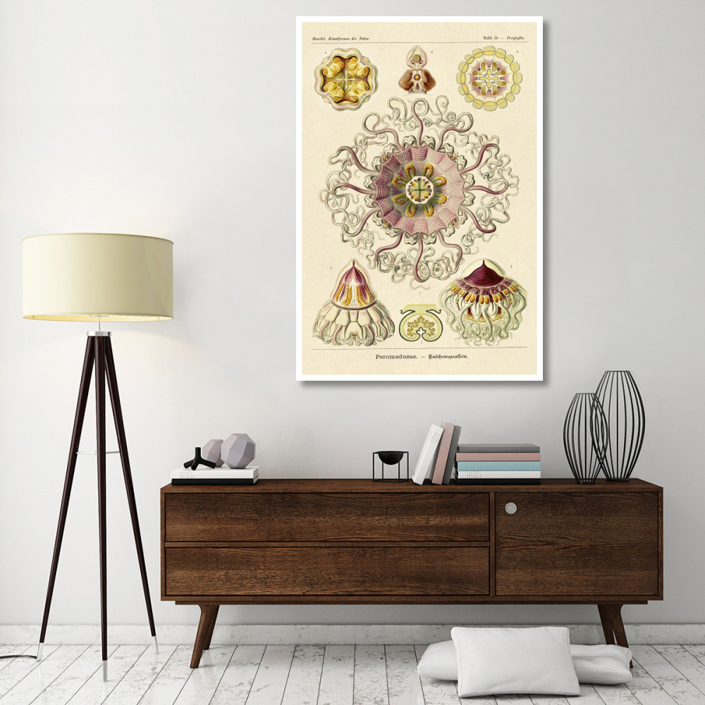 Haeckel Nature Illustrations Jelly Fish-Paper Art-42&quotx62"