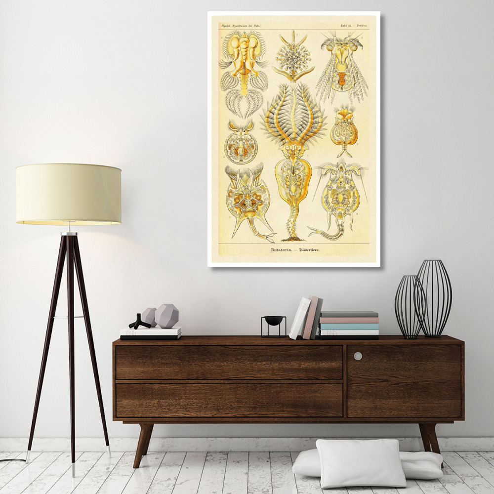 Haeckel Nature Illustrations Rotatoria, rotifera worms-Paper Art-42&quotx62"