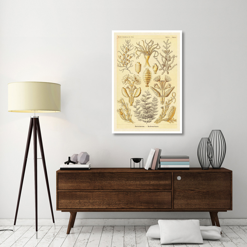 Haeckel Nature Illustrations Sertulariae-Paper Art-34&quotx50"