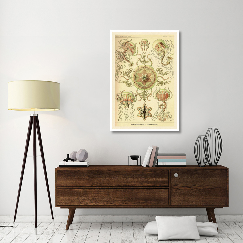 Haeckel Nature Illustrations Trachomedusae - Jellyfish-Paper Art-34&quotx50"