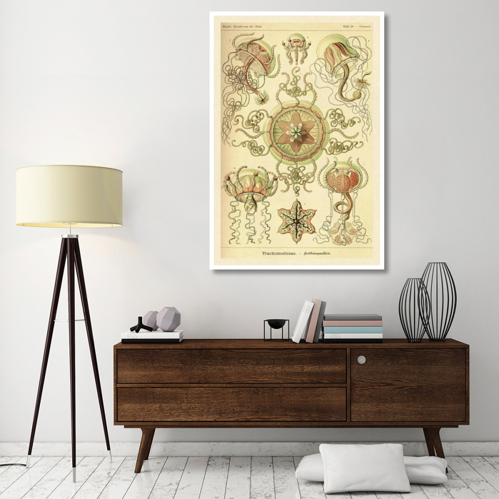 Haeckel Nature Illustrations Trachomedusae - Jellyfish-Paper Art-42&quotx62"