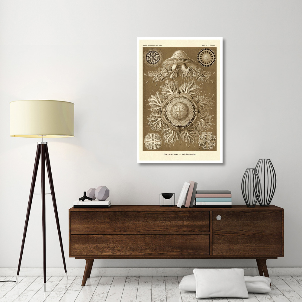 Haeckel Nature Illustrations Jelly Fish - Sepia Tint-Paper Art-34&quotx50"