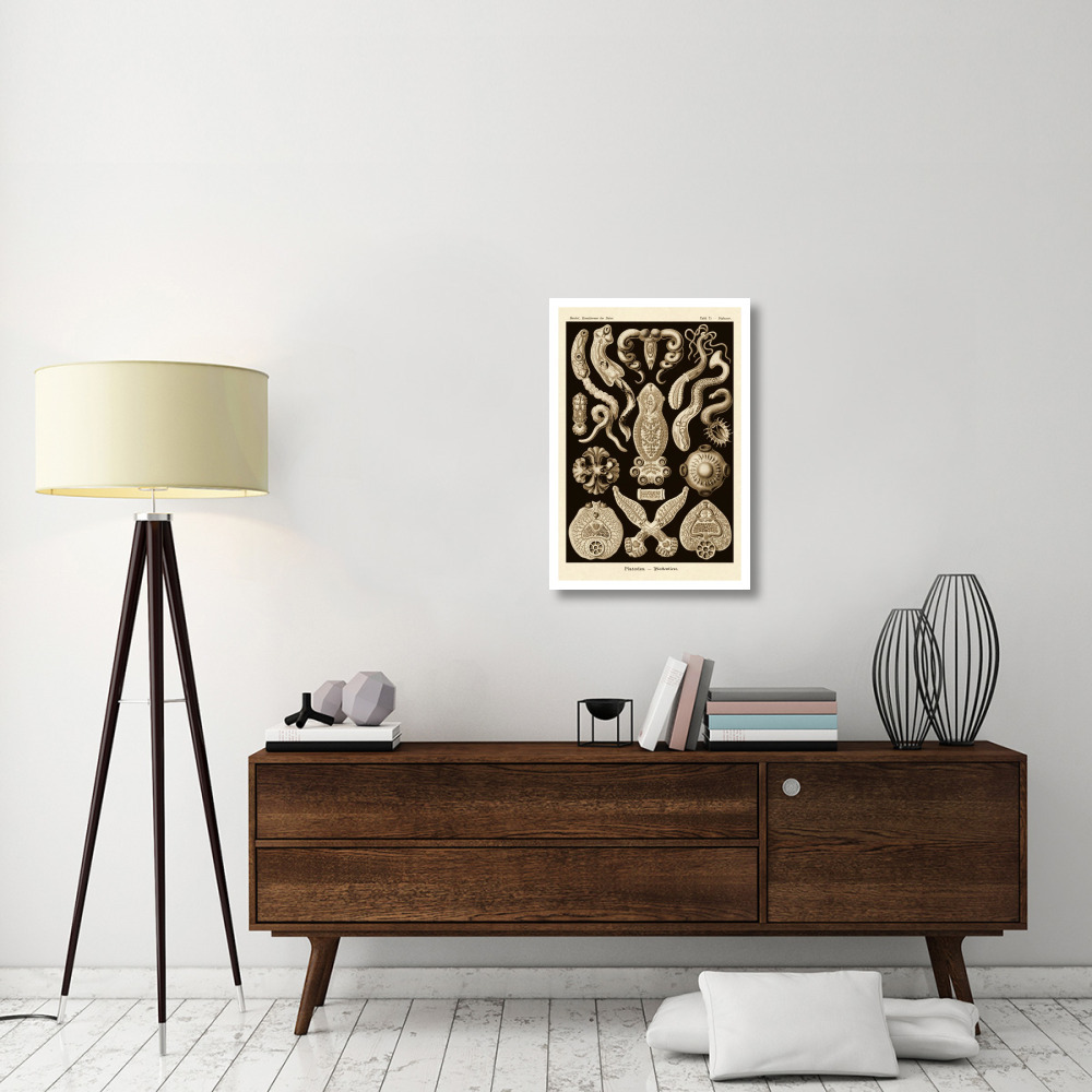 Haeckel Nature Illustrations Flatworms - Sepia Tint-Paper Art-22&quotx32"