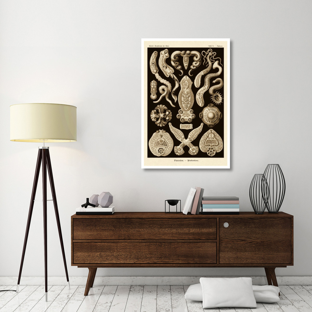 Haeckel Nature Illustrations Flatworms - Sepia Tint-Paper Art-34&quotx50"