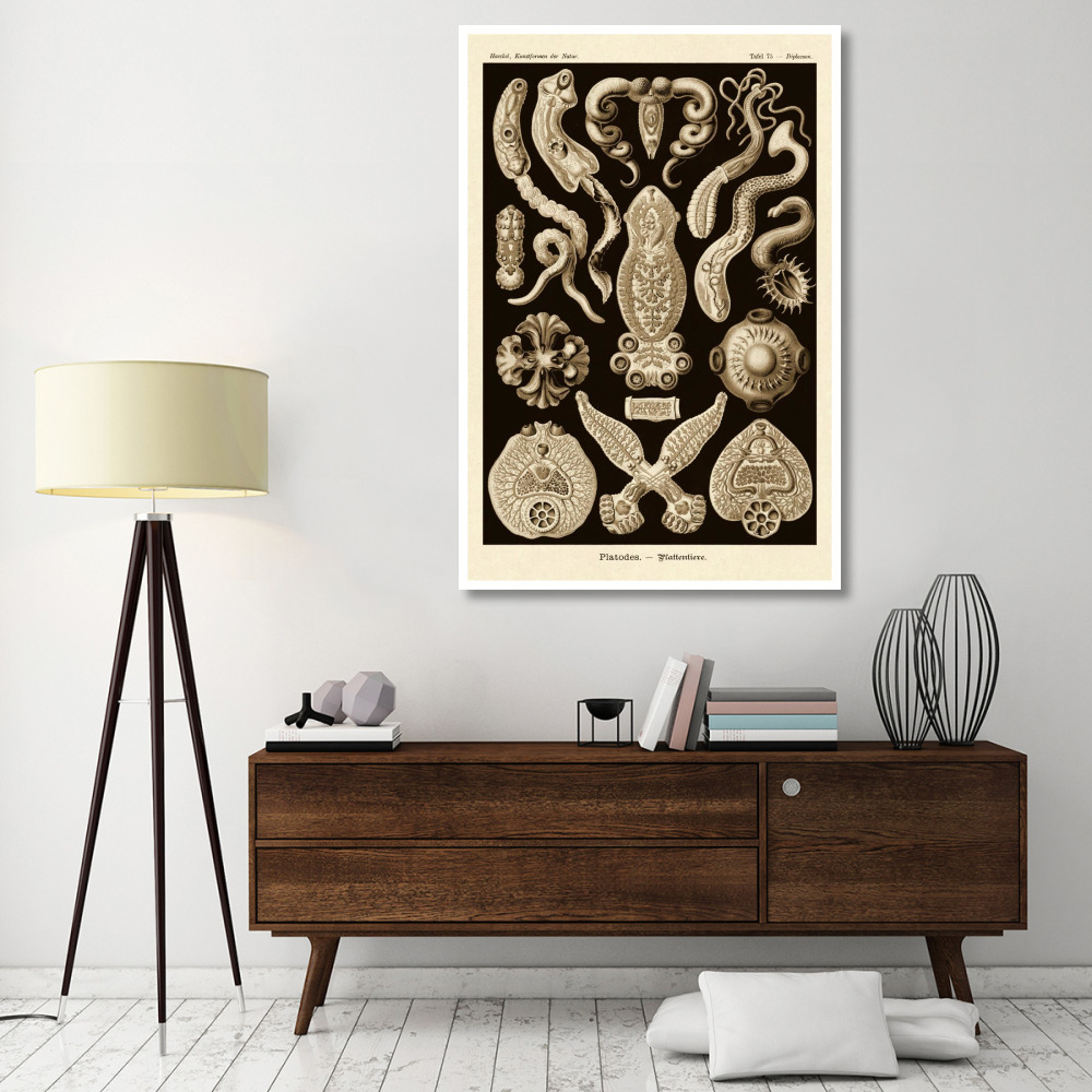 Haeckel Nature Illustrations Flatworms - Sepia Tint-Paper Art-42&quotx62"