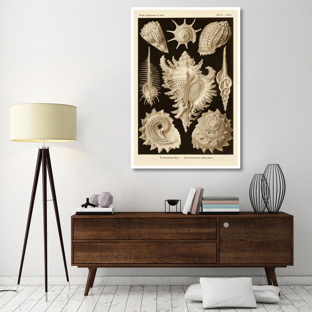 Haeckel Nature Illustrations Gastropods - Sepia Tint-Paper Art-42&quotx62"