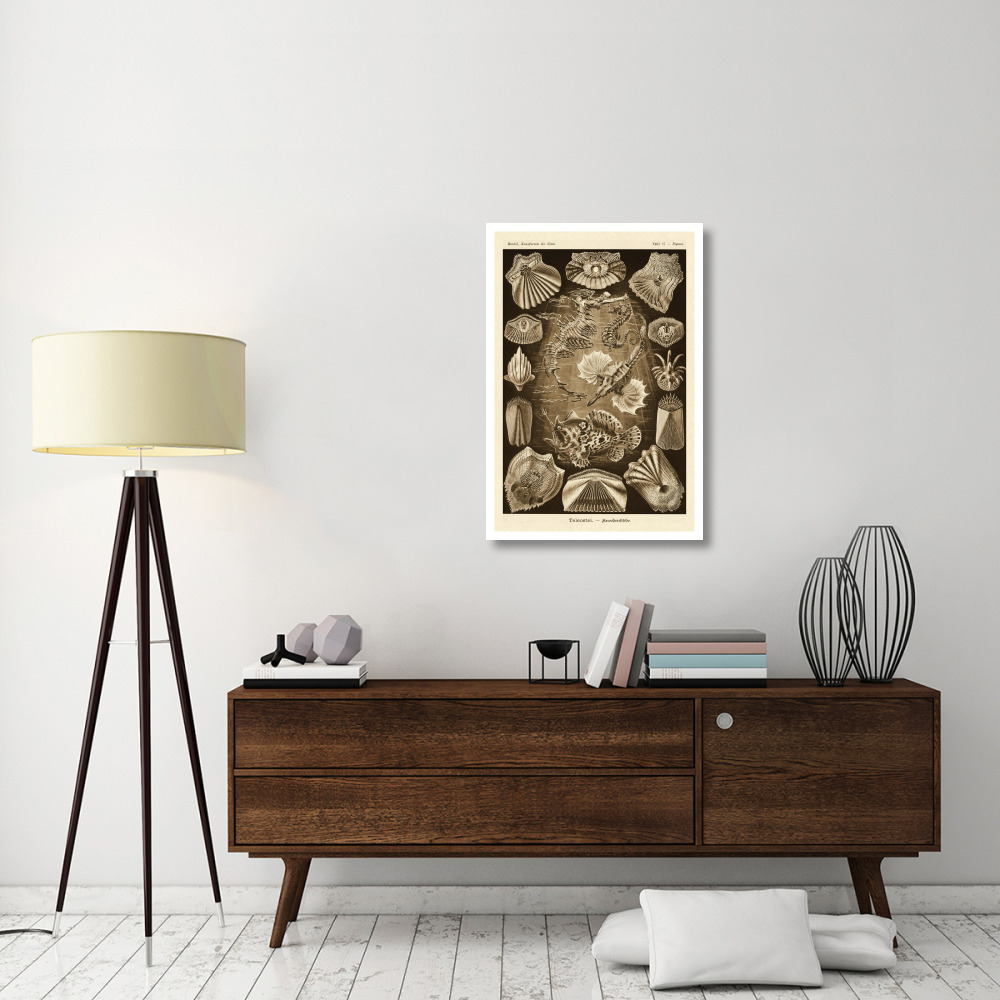 Haeckel Nature Illustrations Teleostei, bony Fishes - Sepia Tint-Paper Art-26&quotx38"