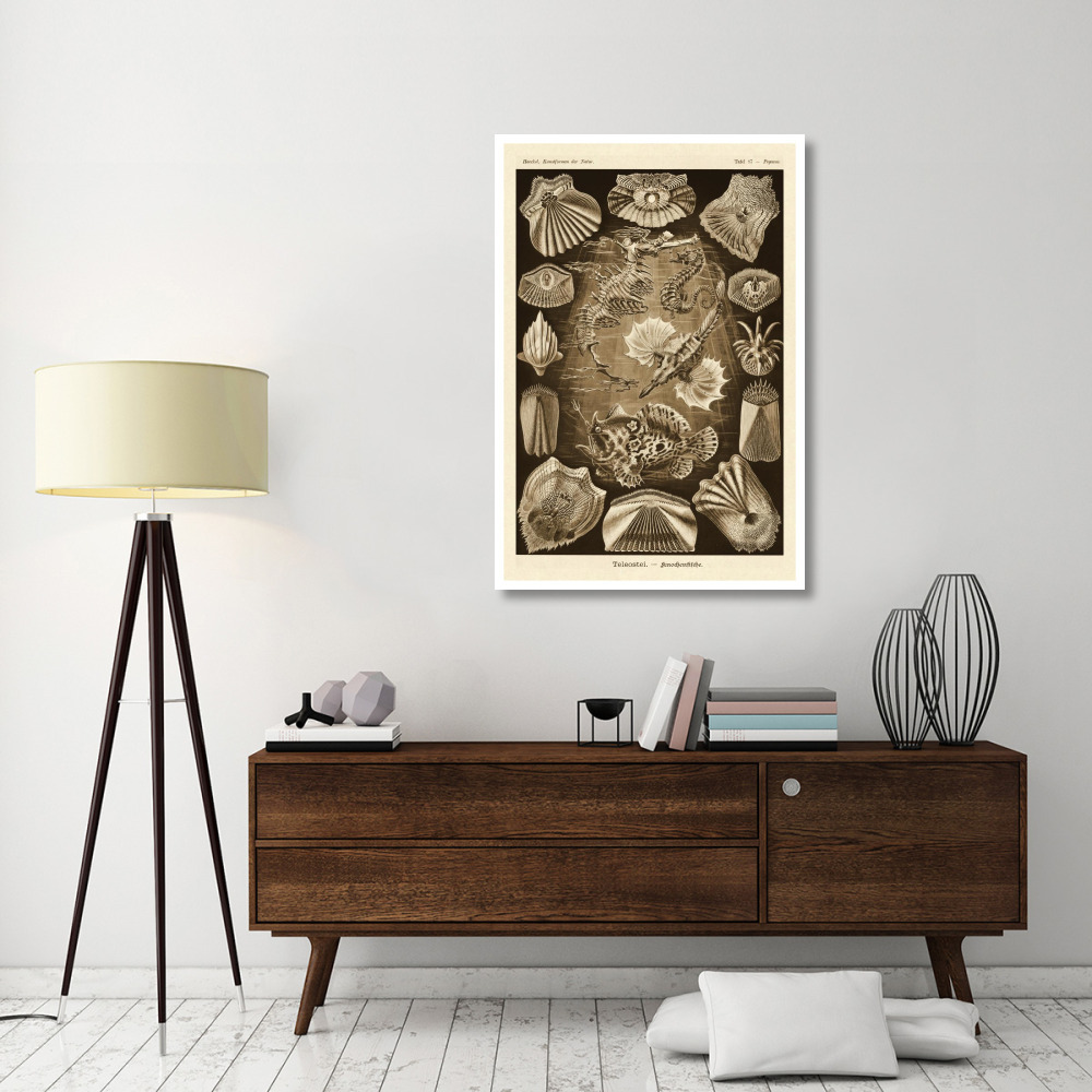 Haeckel Nature Illustrations Teleostei, bony Fishes - Sepia Tint-Paper Art-34&quotx50"