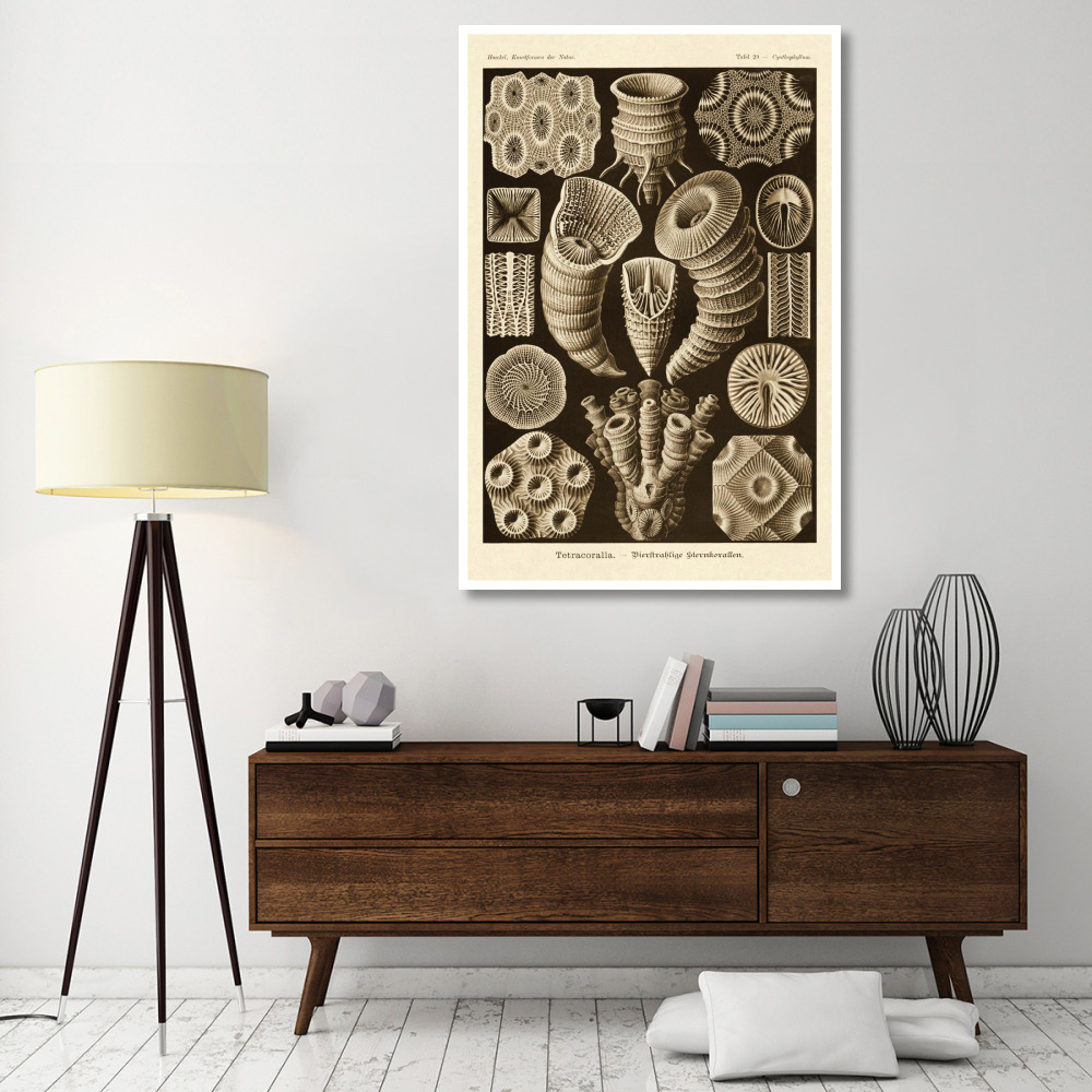 Haeckel Nature Illustrations Tetracoralla, Coral - Sepia Tint-Paper Art-42&quotx62"