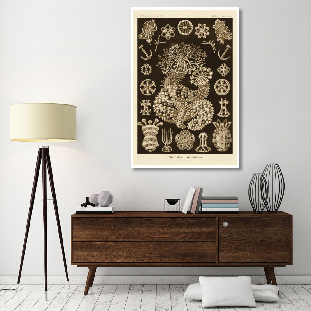 Haeckel Nature Illustrations Sea Cucumbers - Sepia Tint-Paper Art-42&quotx62"