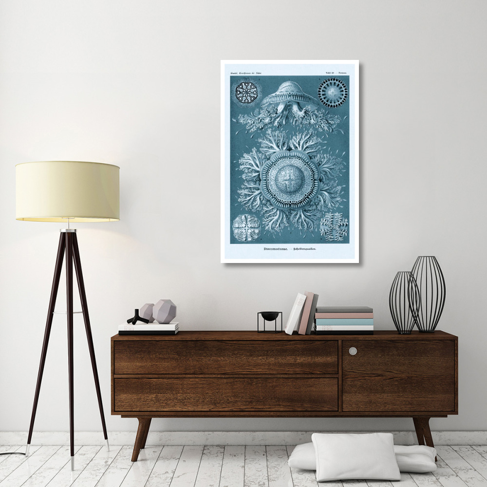 Haeckel Nature Illustrations Jelly Fish - Blue-Green Tint-Paper Art-34&quotx50"