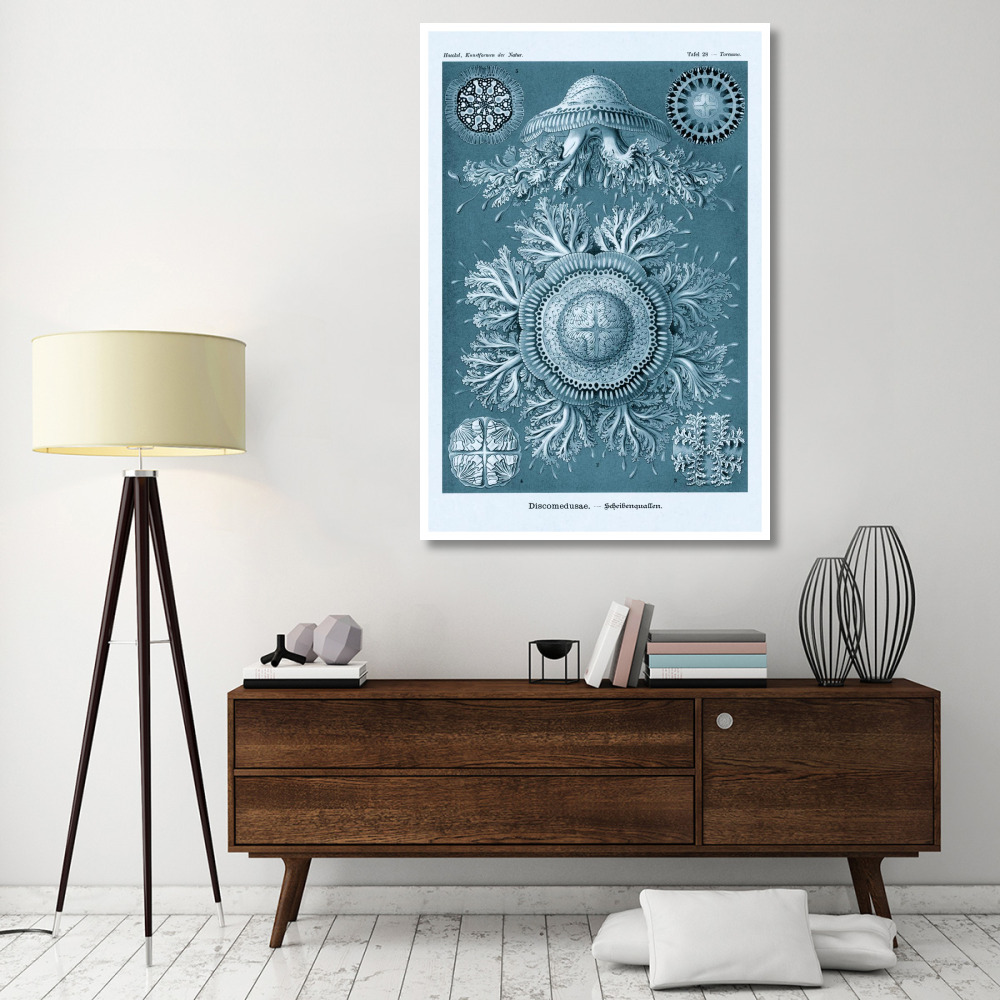 Haeckel Nature Illustrations Jelly Fish - Blue-Green Tint-Paper Art-42&quotx62"
