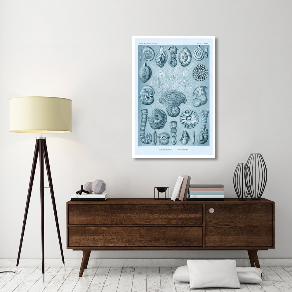 Haeckel Nature Illustrations Talamophora, Formanifera, Rhisopods - Blue-Green Tint-Paper Art-34&quotx50"