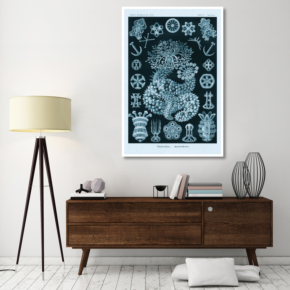 Haeckel Nature Illustrations Sea Cucumbers - Blue-Green Tint-Paper Art-42&quotx62"